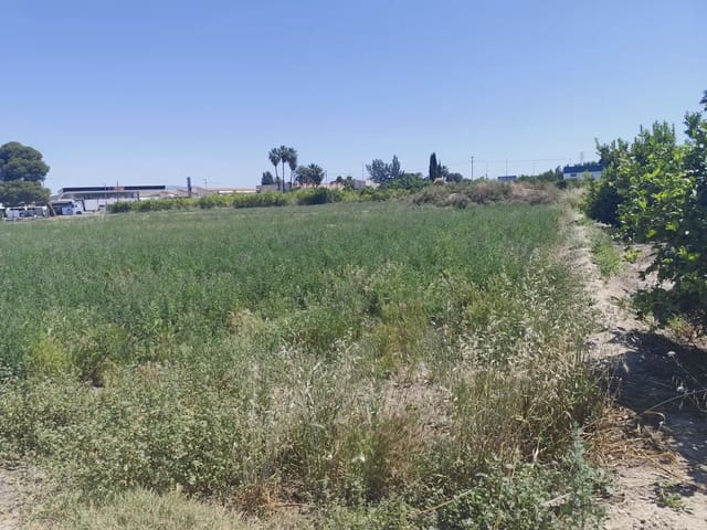 Building Plot for sale in Beniaján, Murcia city - € 150,000 (Ref: 10045552)