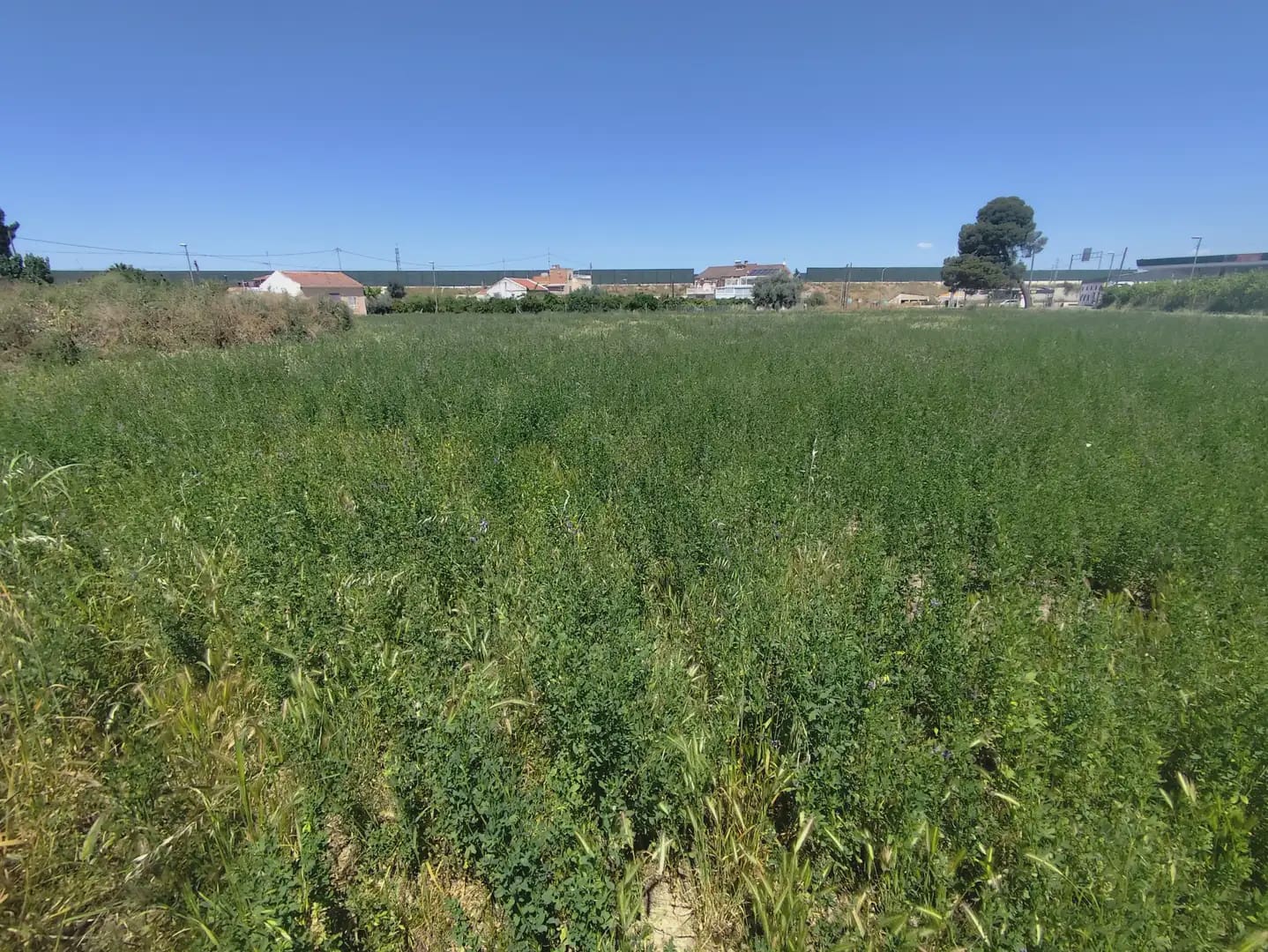 Building Plot for sale in Beniajan - € 150,000 (Ref: 10045552)