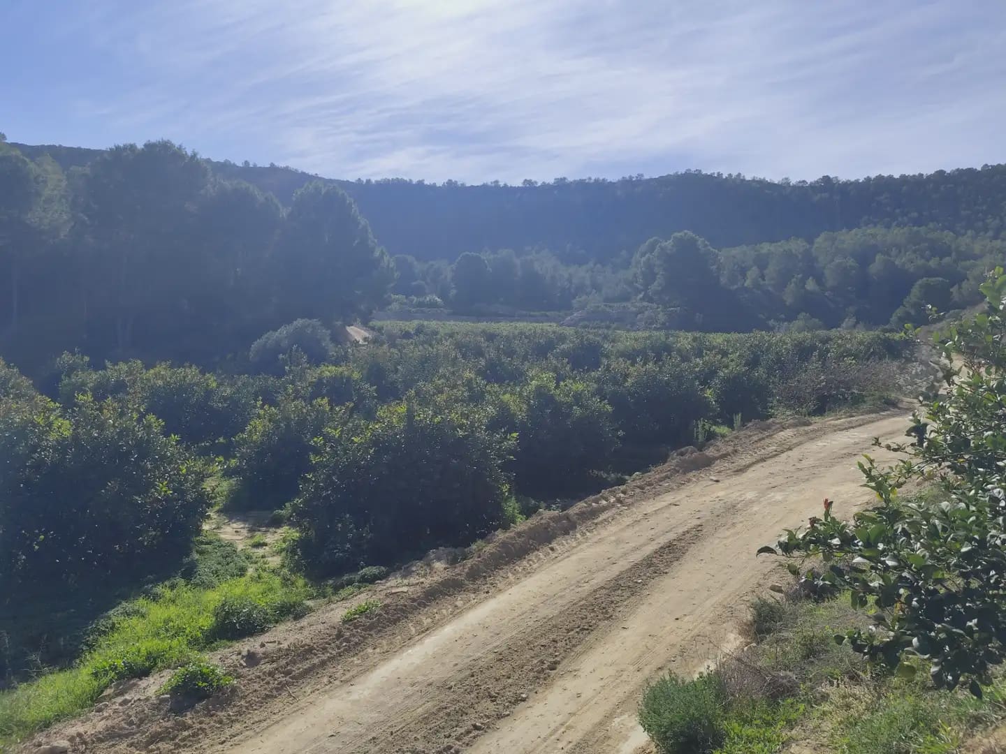 Undeveloped Land for sale in Beniajan - € 40,000 (Ref: 10045555)