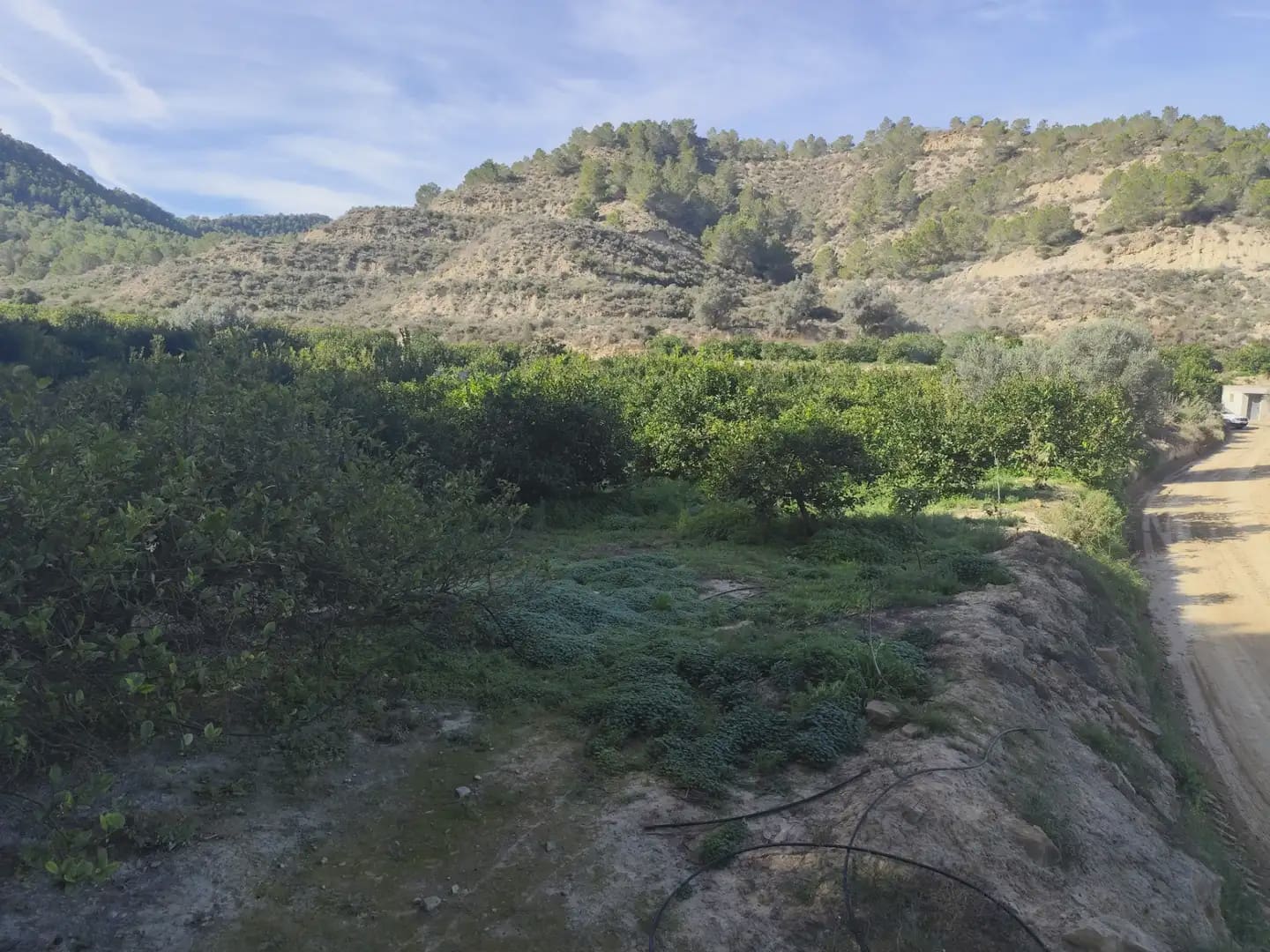 Undeveloped Land for sale in Beniajan - € 40,000 (Ref: 10045555)