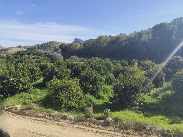 Rakentamaton maa myytävänä paikassa Beniaján, Murcia kaupunki - 40 000 € (Ref: 10045555)