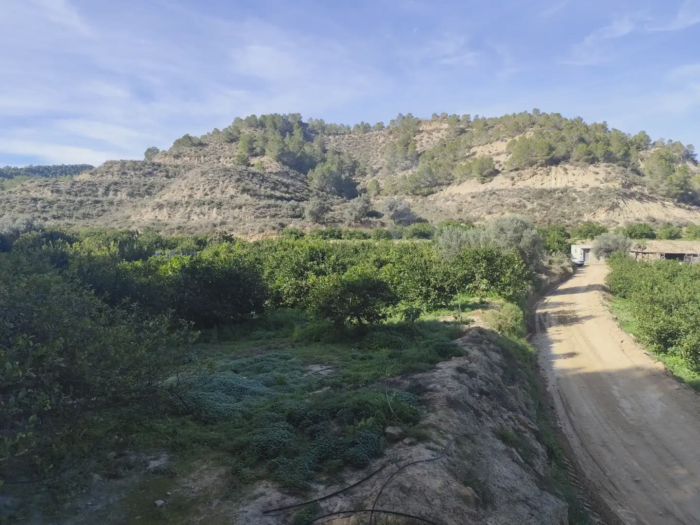 Undeveloped Land for sale in Beniajan - € 40,000 (Ref: 10045555)