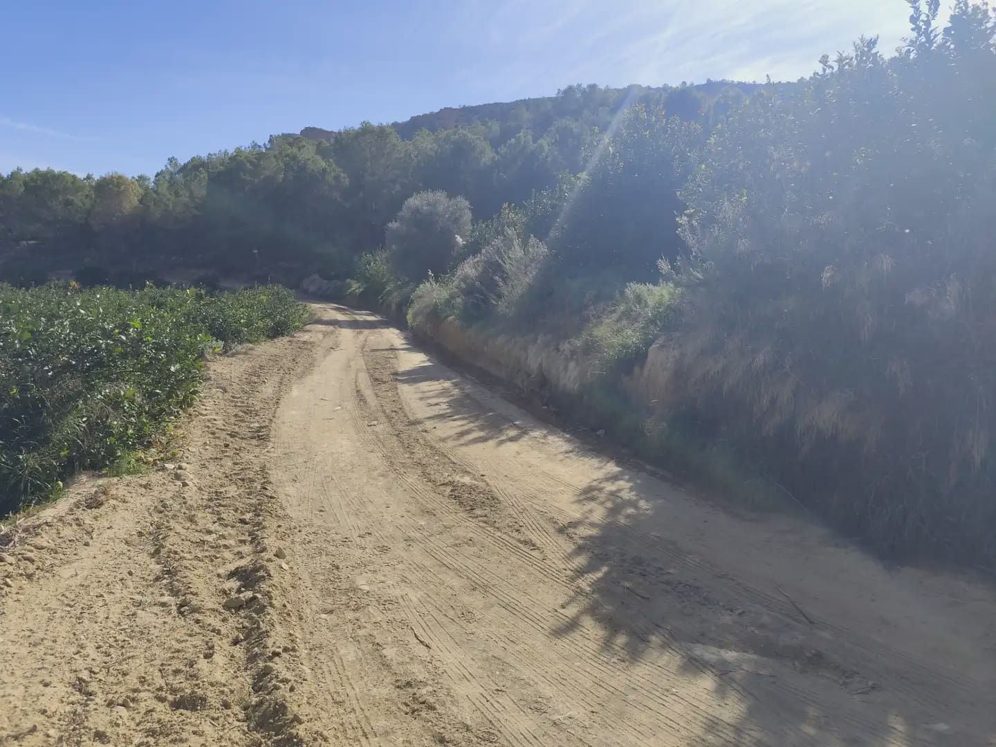 Undeveloped Land for sale in Beniajan - € 40,000 (Ref: 10045555)