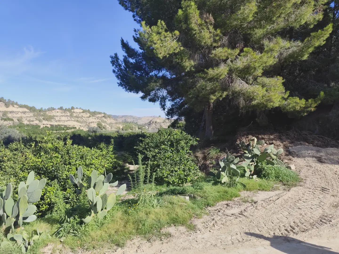 Undeveloped Land for sale in Beniajan - € 40,000 (Ref: 10045555)