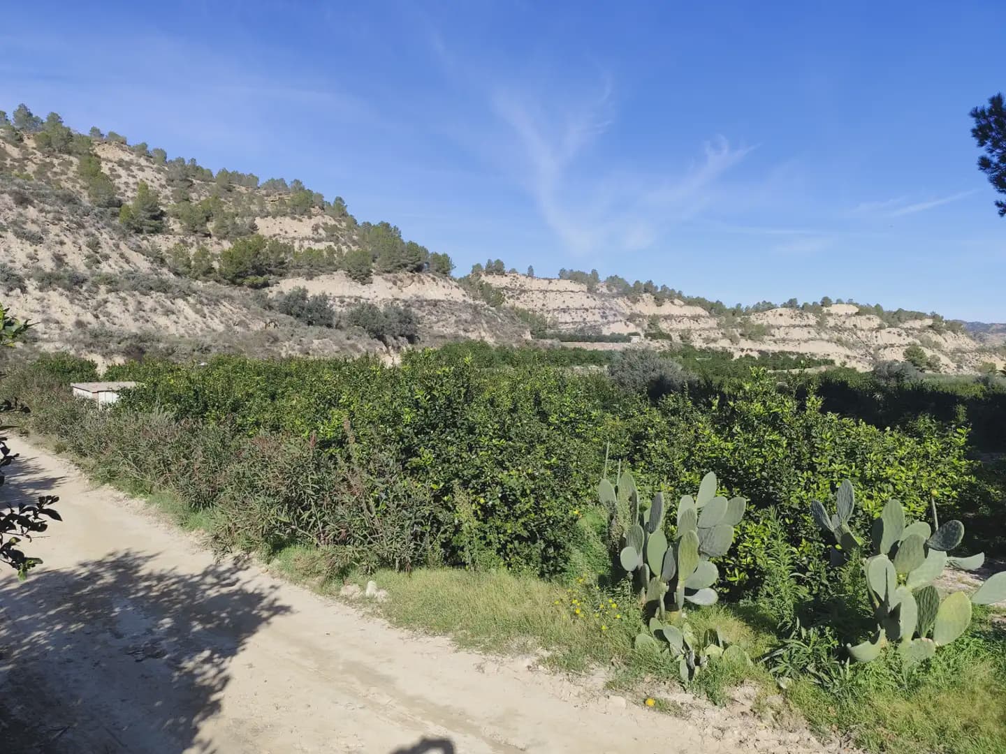 Undeveloped Land for sale in Beniajan - € 40,000 (Ref: 10045555)