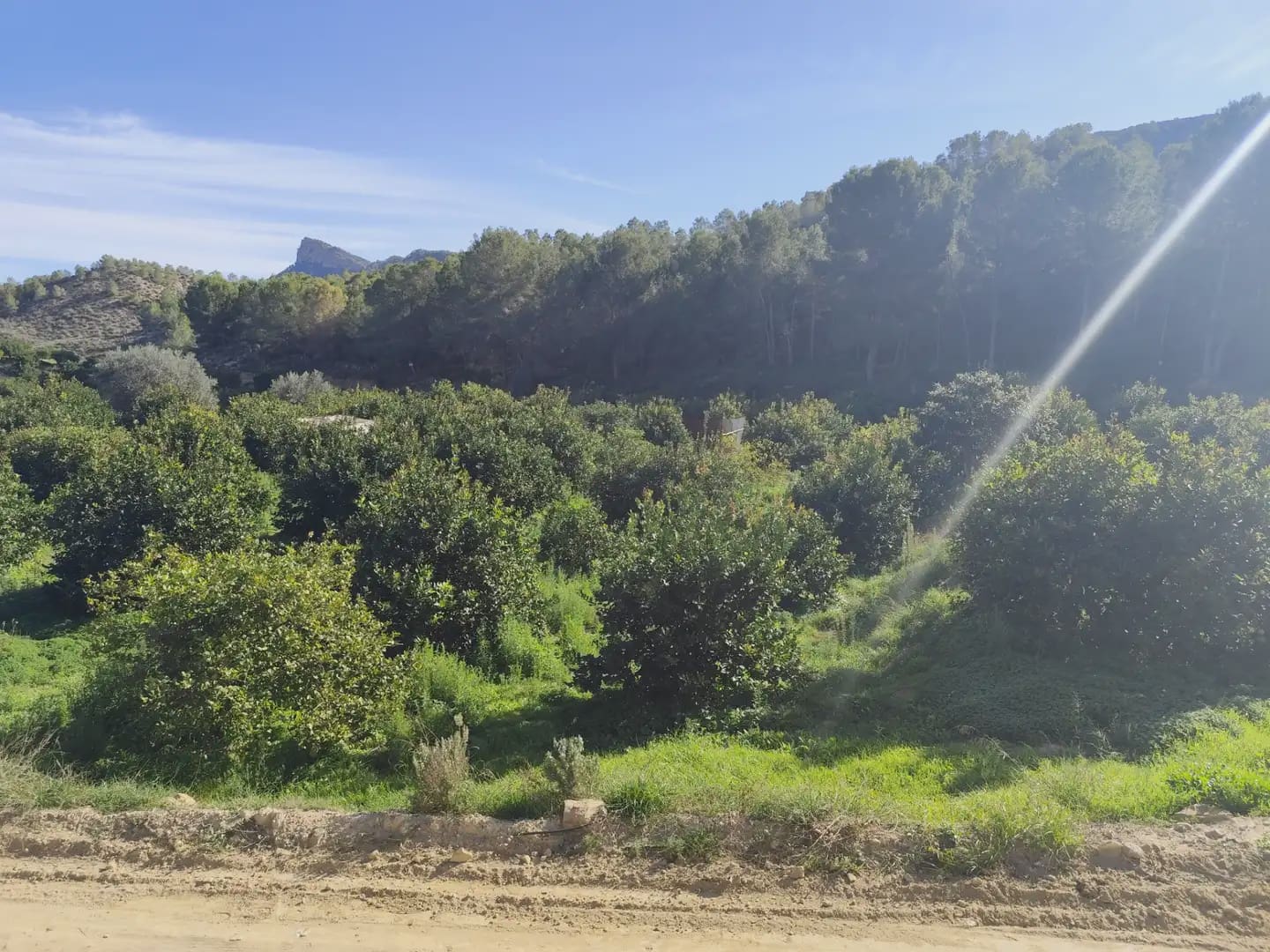 Undeveloped Land for sale in Beniajan - € 40,000 (Ref: 10045555)