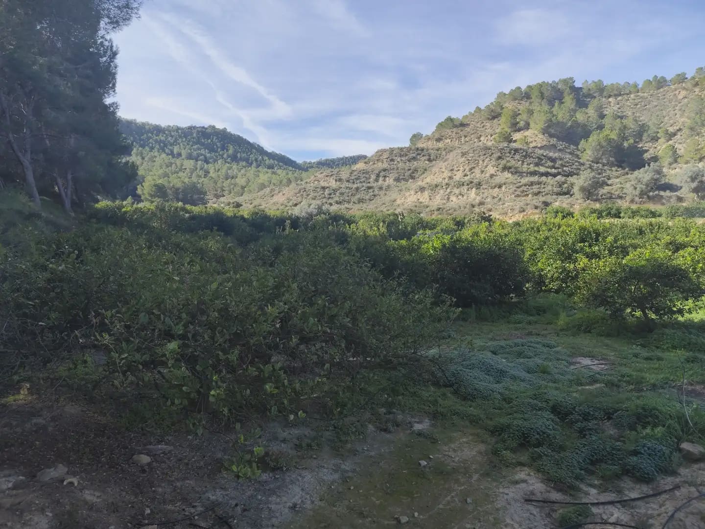 Undeveloped Land for sale in Beniajan - € 40,000 (Ref: 10045555)