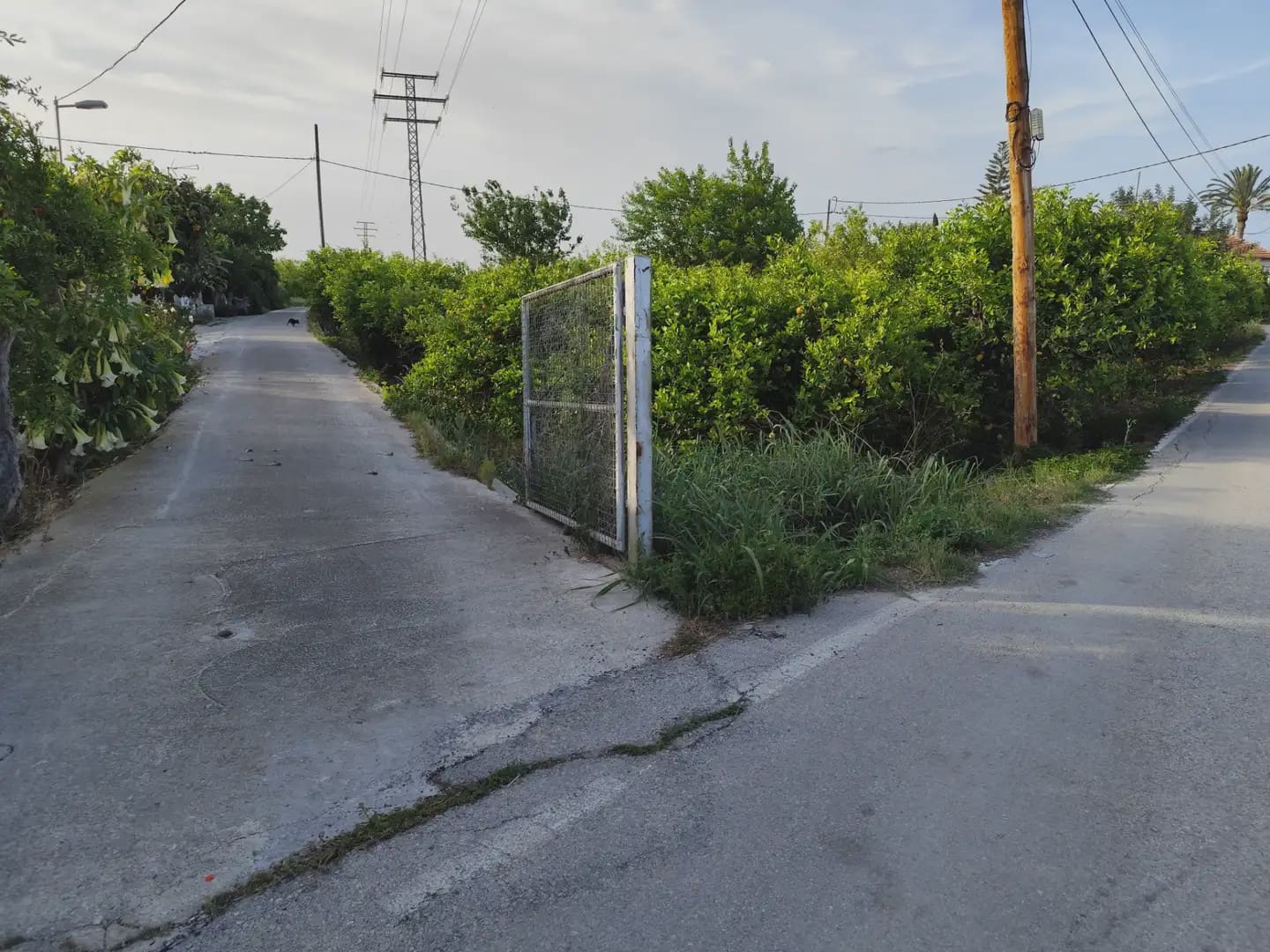 Undeveloped Land for sale in Torreaguera - € 50,000 (Ref: 10045556)