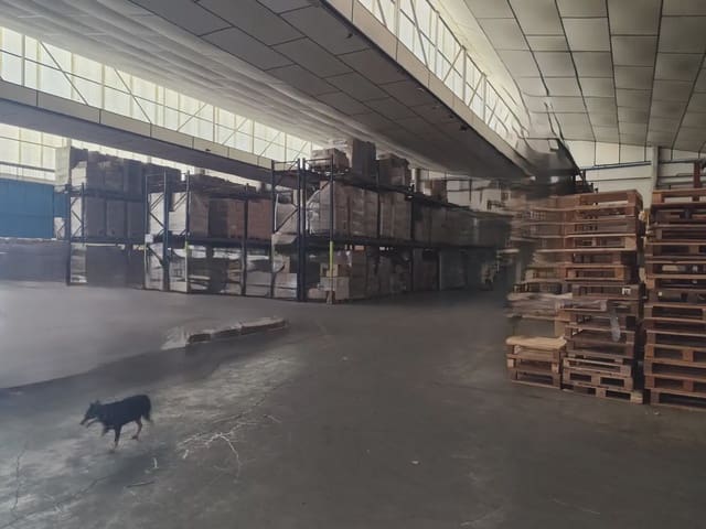 Commercial for sale in San Gines, Murcia city - € 1,500,000 (Ref: 10100587)
