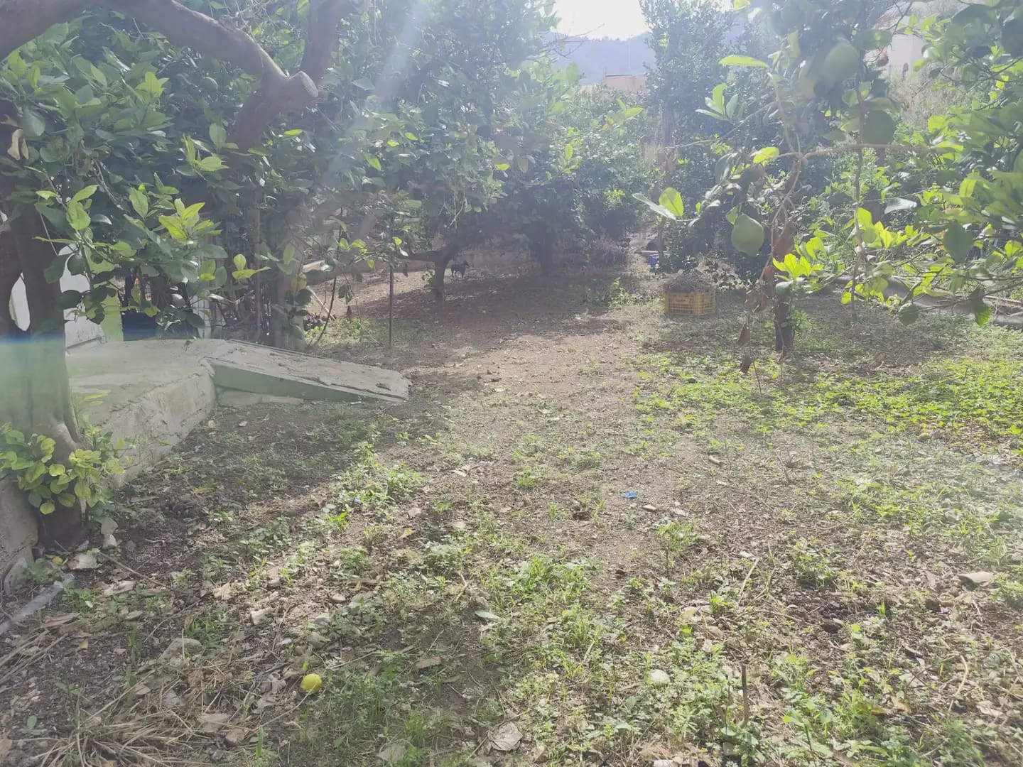 6 slaapkamer Finca/Landhuis te koop in Los Ramos - € 165.000 (Ref: 10140186)