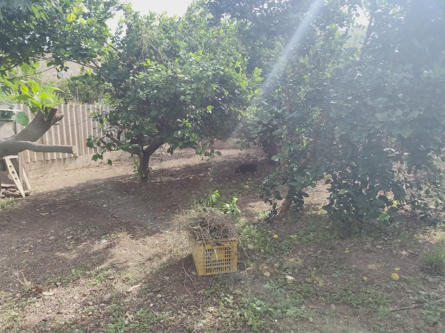 6 slaapkamer Finca/Landhuis te koop in Los Ramos - € 165.000 (Ref: 10140186)