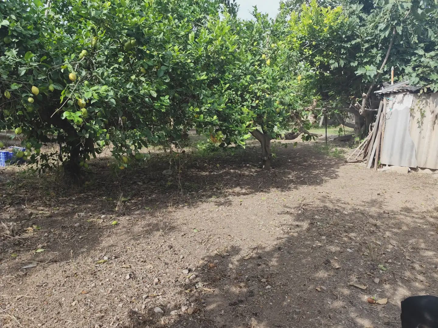 6 slaapkamer Finca/Landhuis te koop in Los Ramos - € 165.000 (Ref: 10140186)