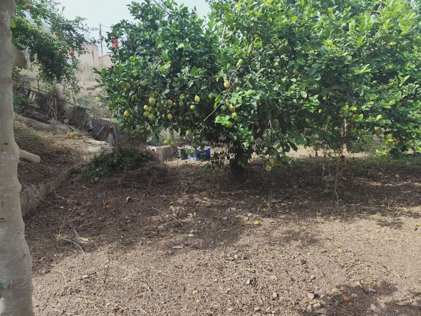 6 slaapkamer Finca/Landhuis te koop in Los Ramos - € 165.000 (Ref: 10140186)