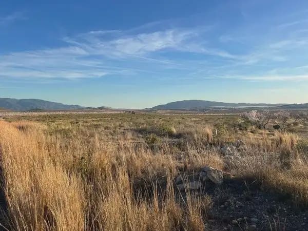 Area Edificabile in vendita in Alcantarilla - 150.000 € (Rif: 10172168)