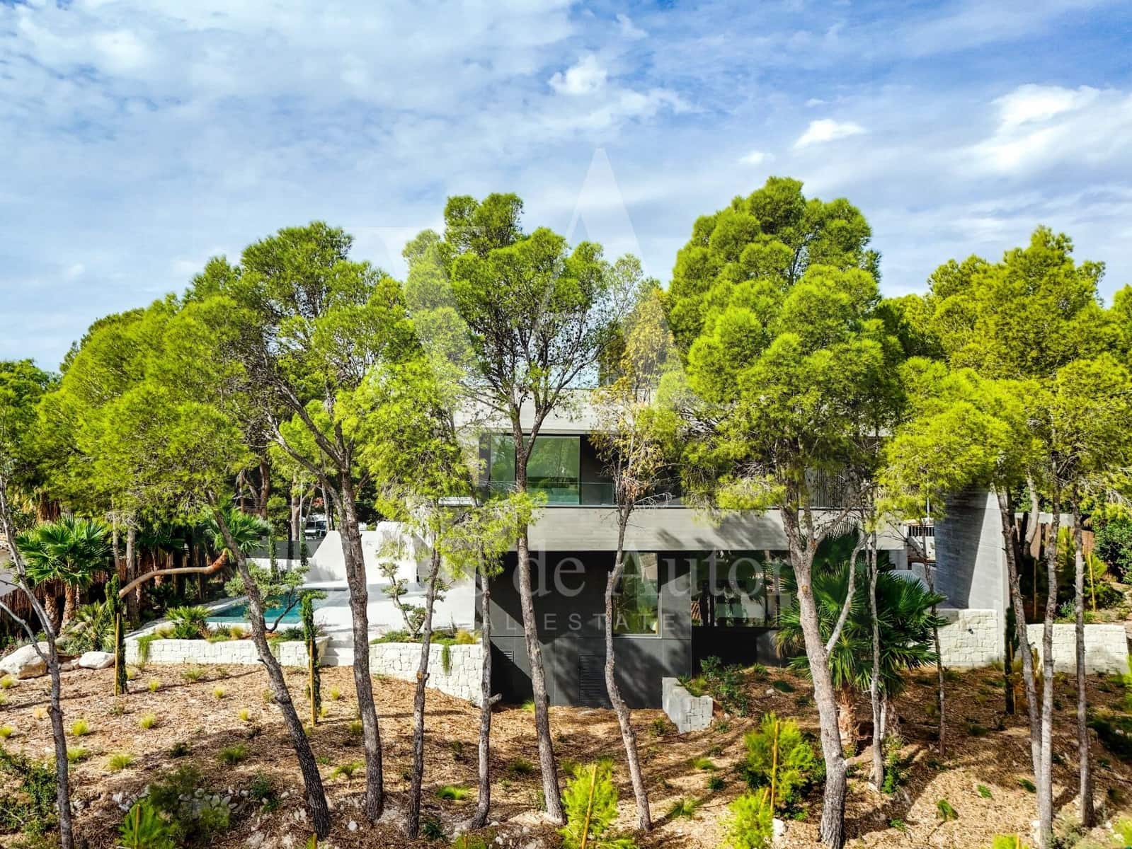 4 bedroom Villa for sale in Galera de las Palmeras with pool garage - € 2,345,000 (Ref: 10041365)