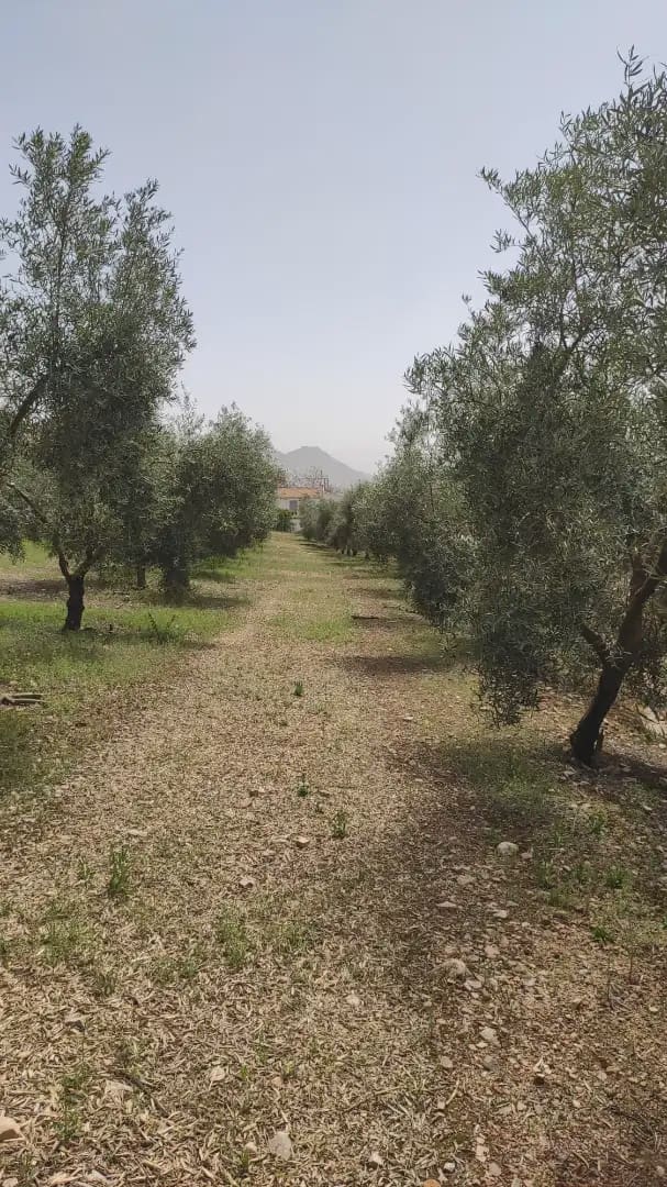 Quinta/Casa Rural para venda em Archidona com garagem - 262 500 € (Ref: 10073052)