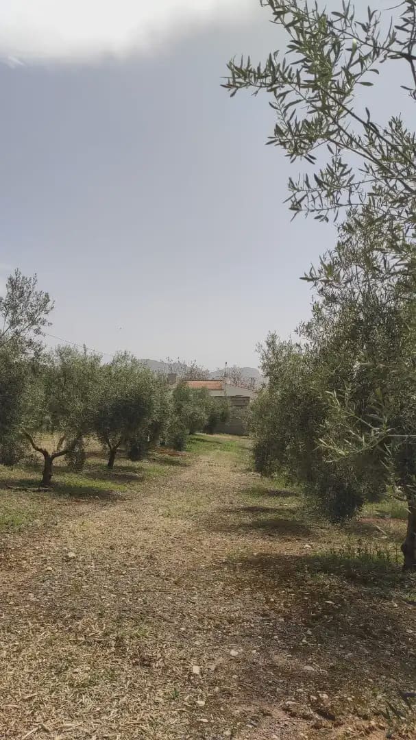 Quinta/Casa Rural para venda em Archidona com garagem - 262 500 € (Ref: 10073052)