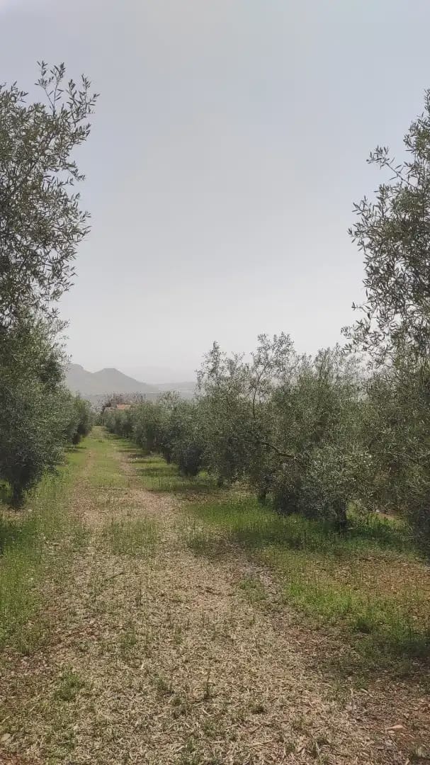 Quinta/Casa Rural para venda em Archidona com garagem - 262 500 € (Ref: 10073052)