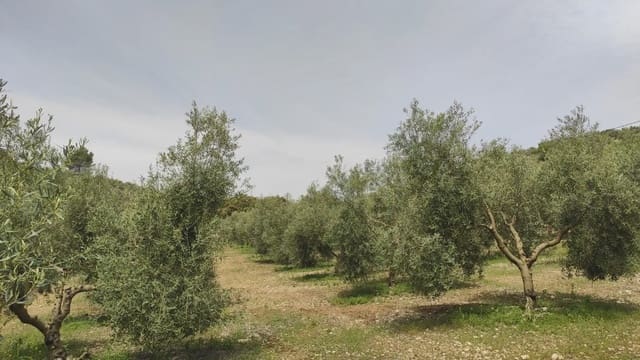 Quinta/Casa Rural para venda em Archidona com garagem - 262 500 € (Ref: 10073052)