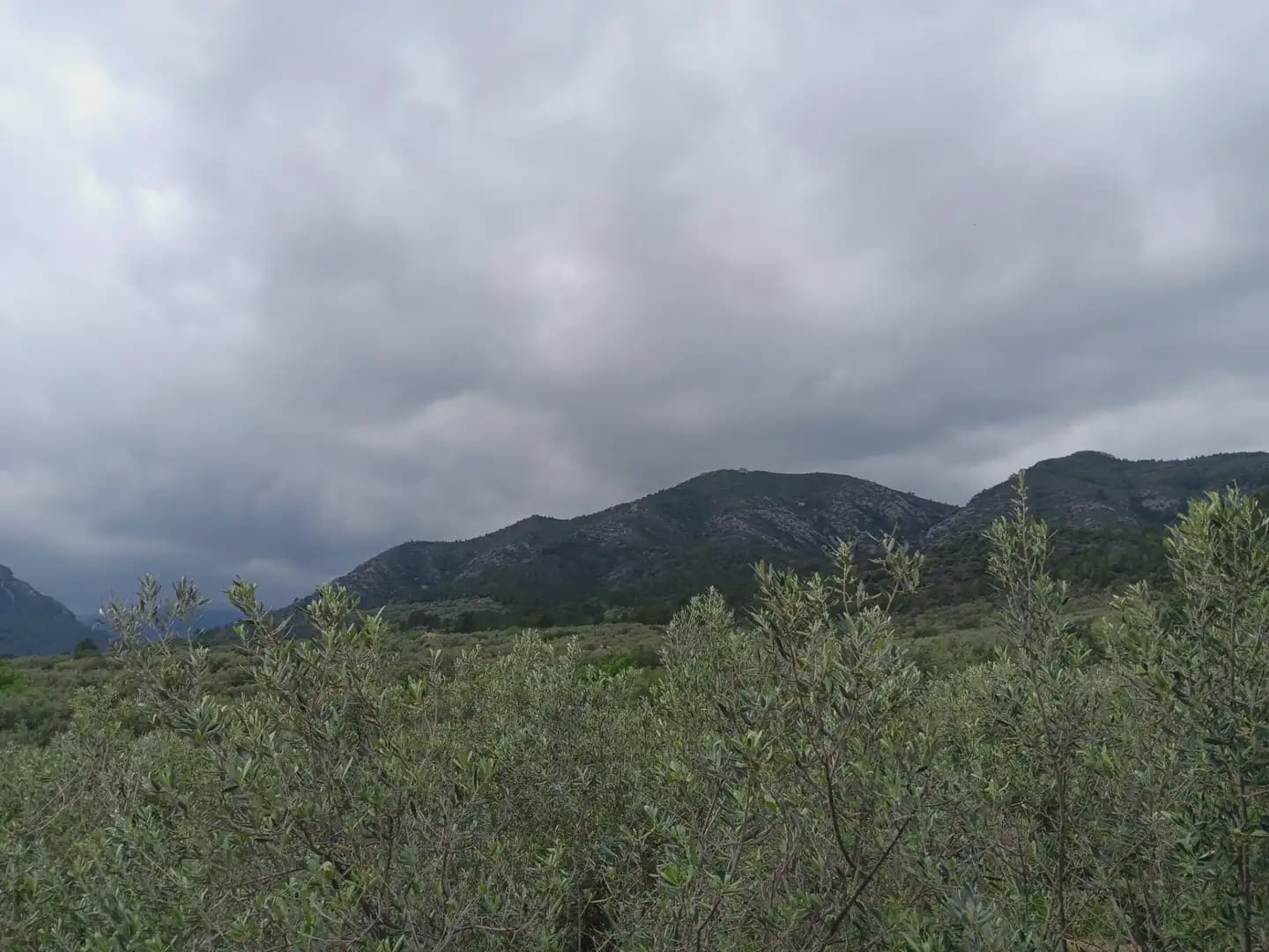 Building Plot for sale in Aldover - € 99,000 (Ref: 10024480)