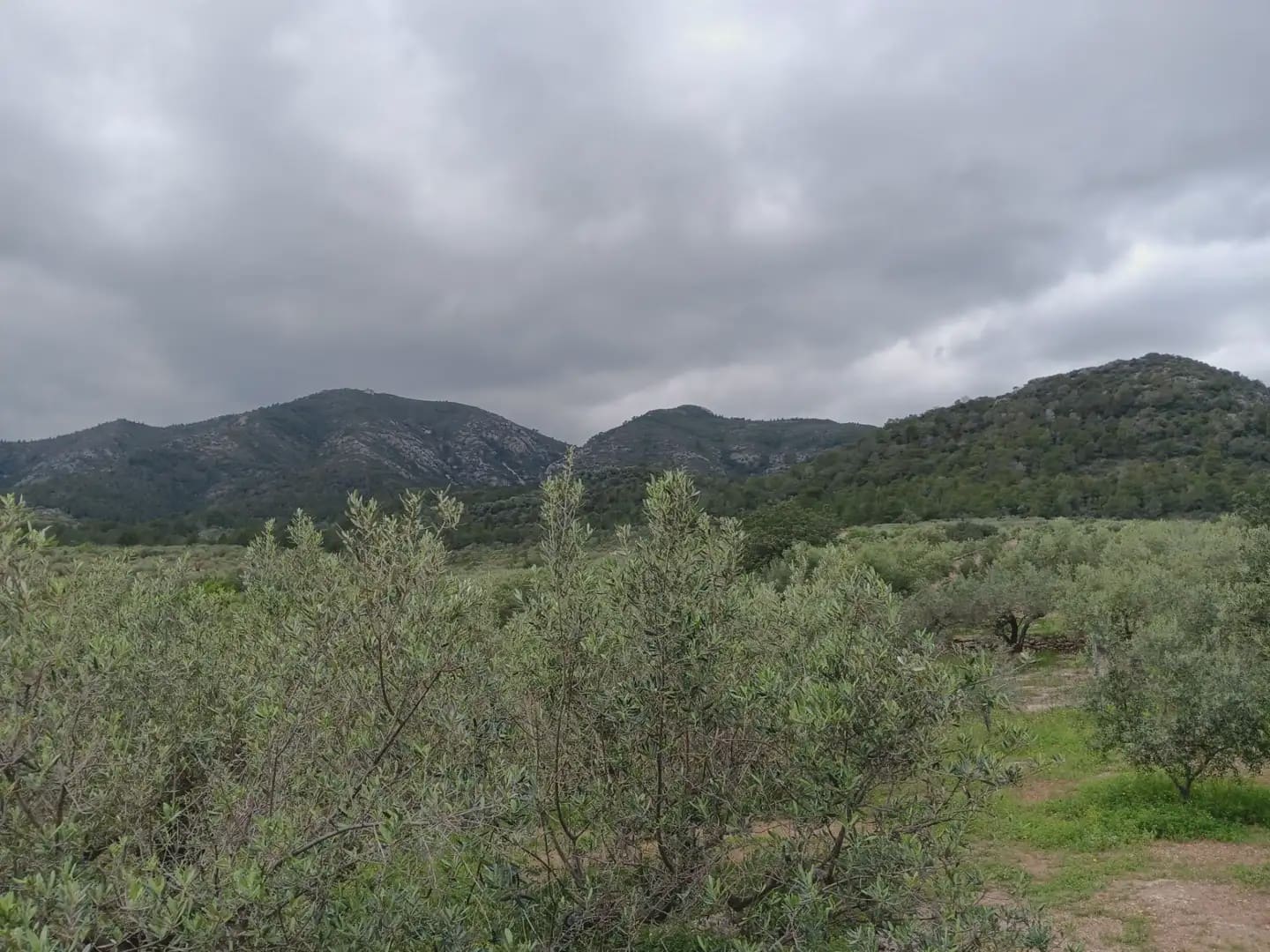 Building Plot for sale in Aldover - € 99,000 (Ref: 10024480)