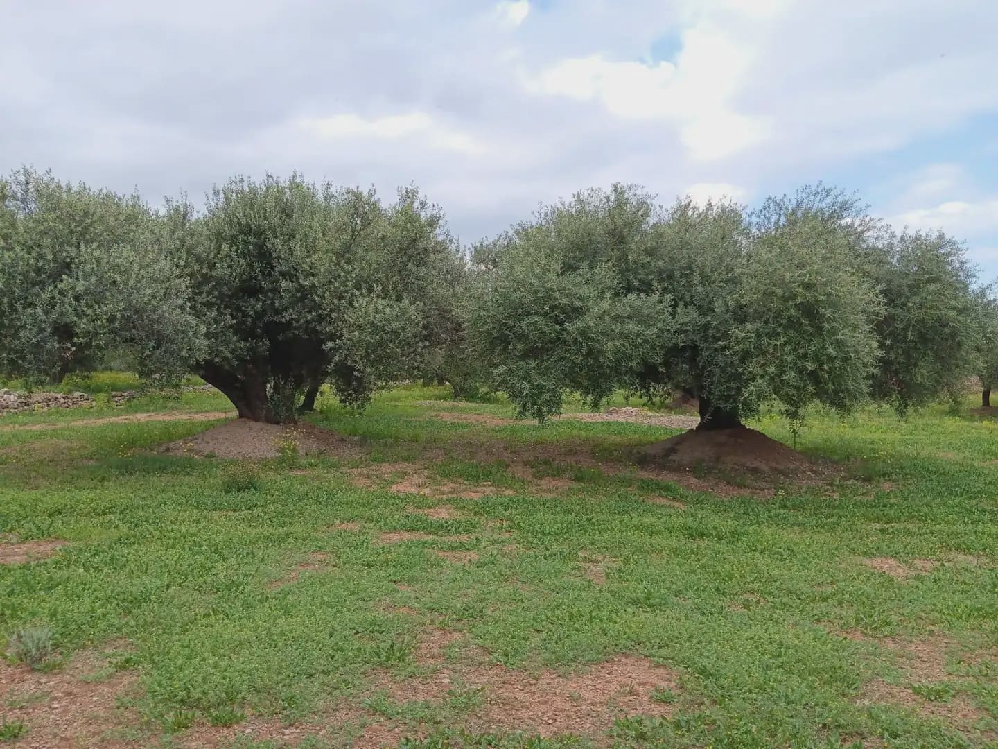 Building Plot for sale in Aldover - € 99,000 (Ref: 10024480)