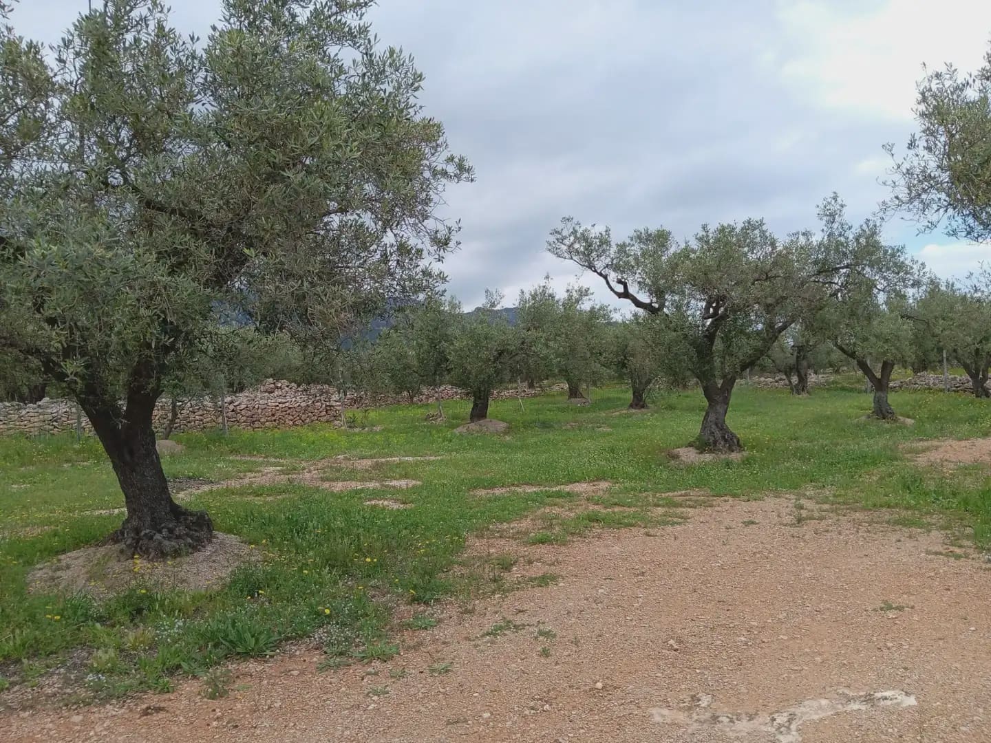 Building Plot for sale in Aldover - € 99,000 (Ref: 10024480)