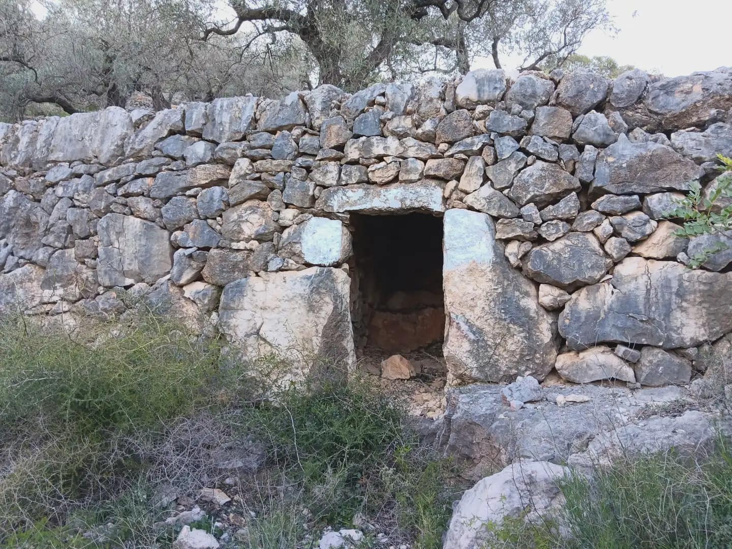 Terrain à Bâtir à vendre à Tortosa - 40 000 € (Ref: 10024482)