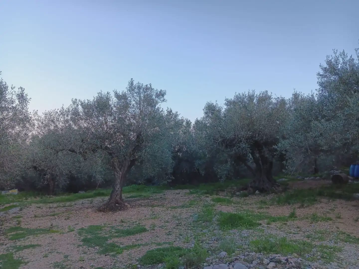 Terrain à Bâtir à vendre à Tortosa - 40 000 € (Ref: 10024482)