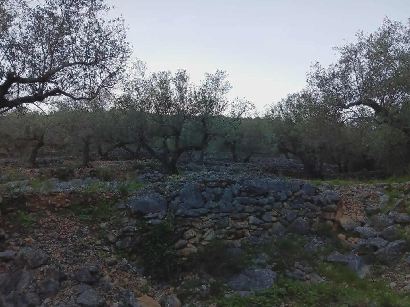 Terrain à Bâtir à vendre à Tortosa - 40 000 € (Ref: 10024482)