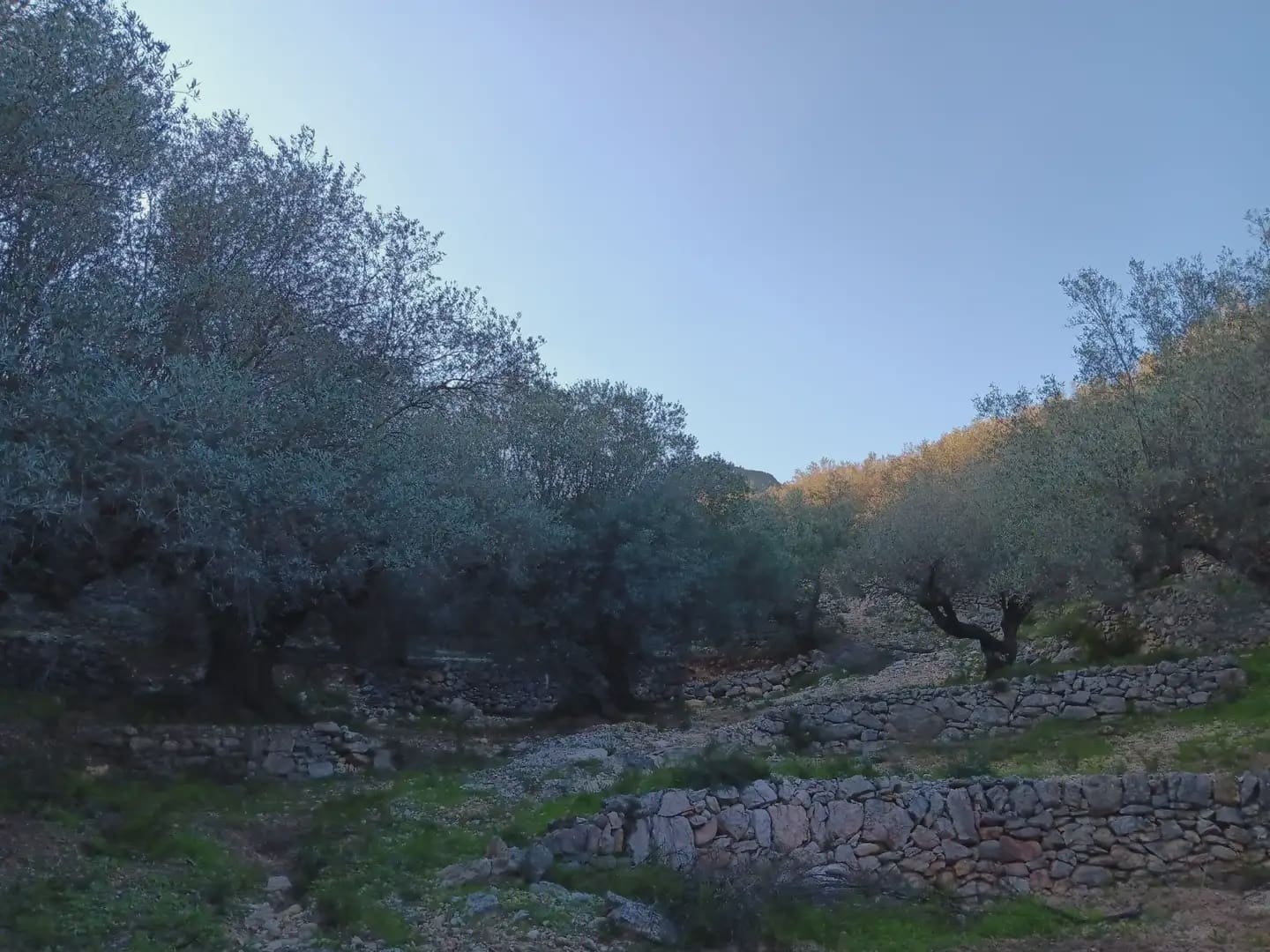Terrain à Bâtir à vendre à Tortosa - 40 000 € (Ref: 10024482)