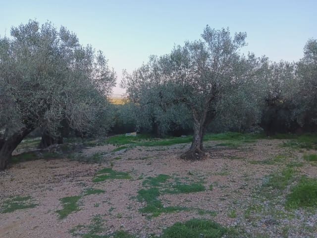 Tomt till salu i Tortosa - 40 000 € (Ref: 10024482)