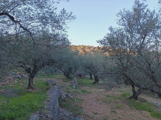 Tomt till salu i Tortosa - 40 000 € (Ref: 10024482)