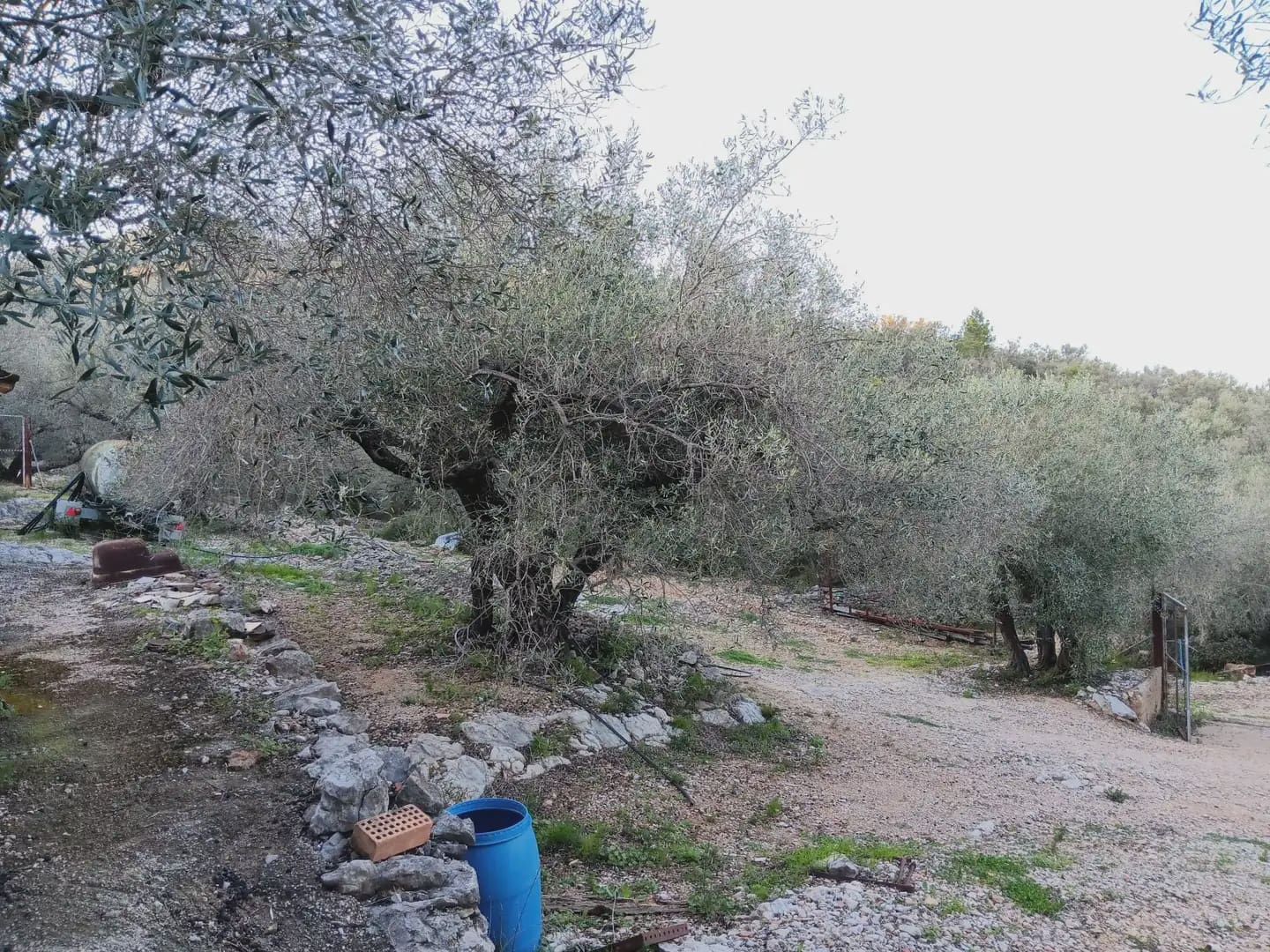 Terrain à Bâtir à vendre à Tortosa - 40 000 € (Ref: 10024482)