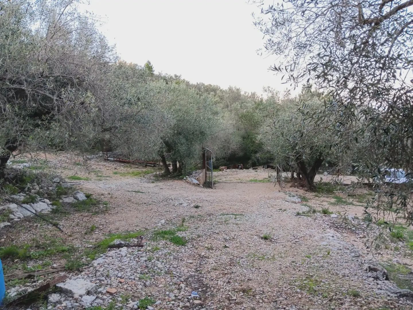 Terrain à Bâtir à vendre à Tortosa - 40 000 € (Ref: 10024482)