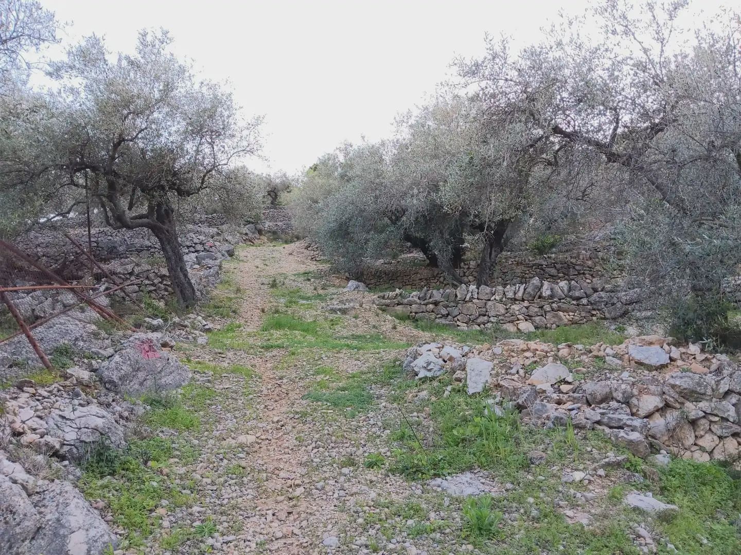 Terrain à Bâtir à vendre à Tortosa - 40 000 € (Ref: 10024482)