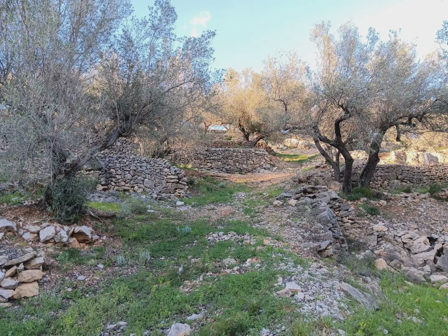 Terrain à Bâtir à vendre à Tortosa - 40 000 € (Ref: 10024482)