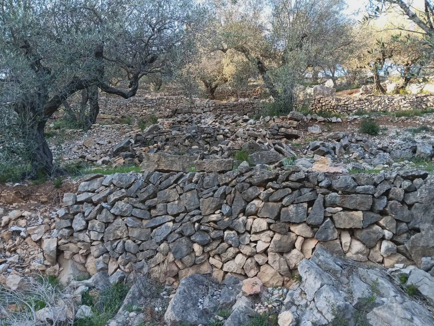 Terrain à Bâtir à vendre à Tortosa - 40 000 € (Ref: 10024482)