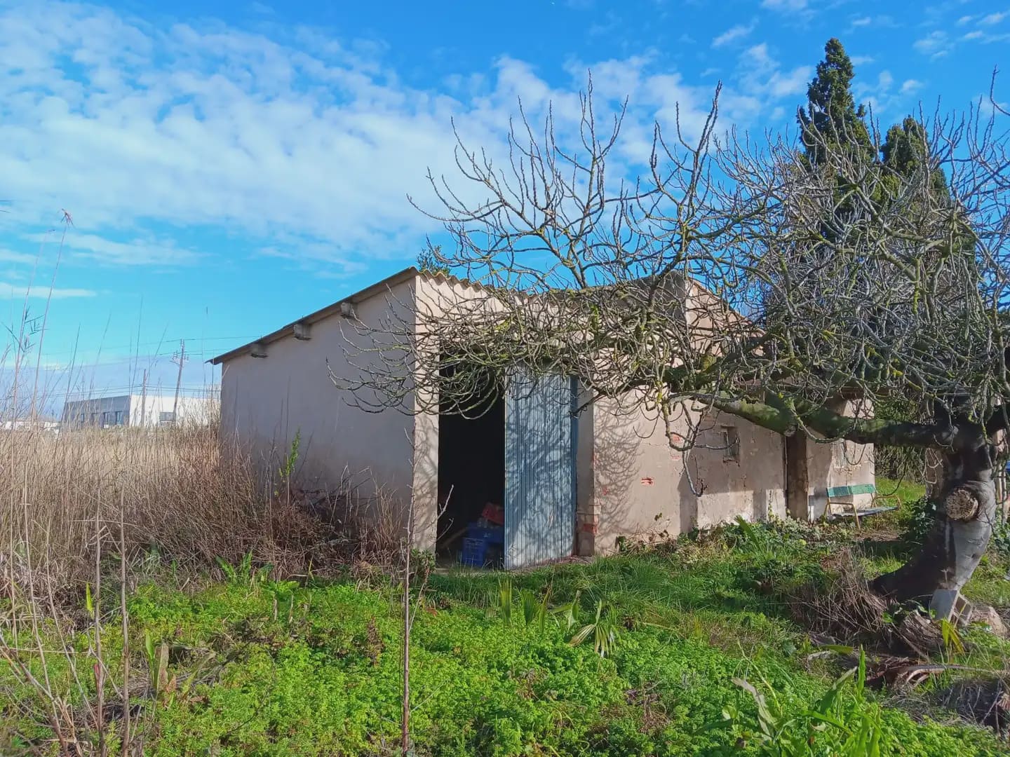 Terreno para Construção para venda em Tortosa - 68 500 € (Ref: 10024486)
