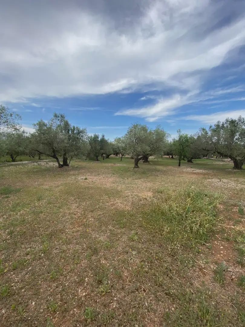 Tomt till salu i Tortosa - 15 000 € (Ref: 10024489)