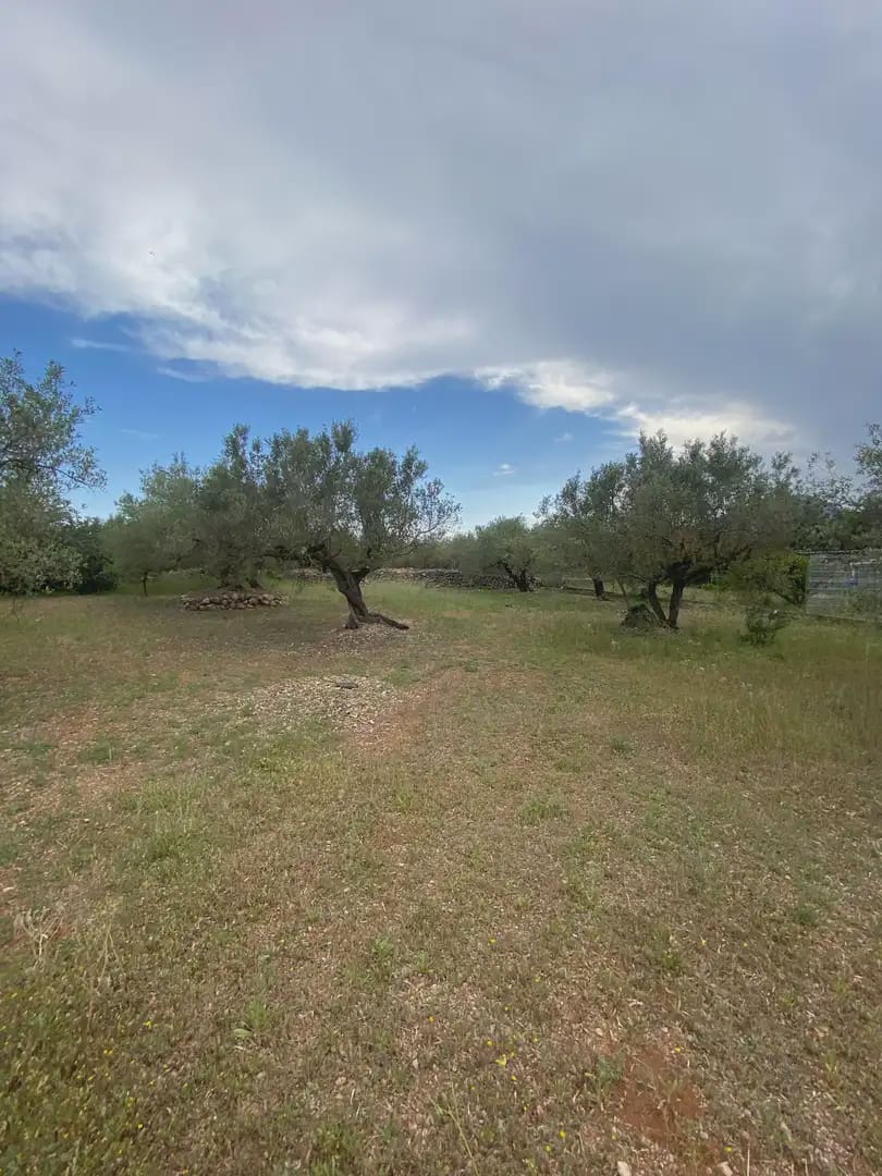 Tomt till salu i Tortosa - 15 000 € (Ref: 10024489)