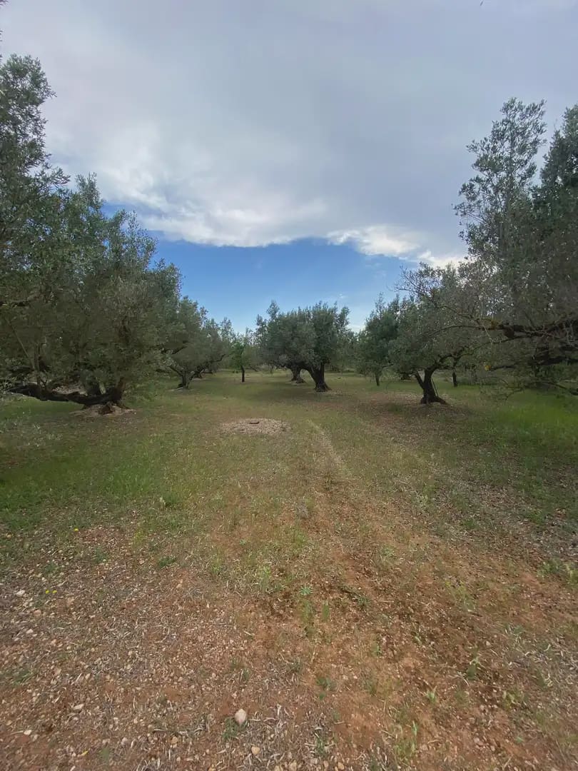 Tomt till salu i Tortosa - 15 000 € (Ref: 10024489)