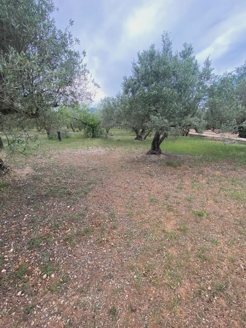 Tomt till salu i Tortosa - 15 000 € (Ref: 10024489)