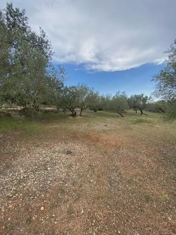 Tomt till salu i Els Reguers, Tortosa - 15 000 € (Ref: 10024489)
