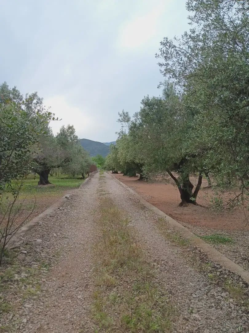 Tomt till salu i Tortosa - 15 000 € (Ref: 10024489)