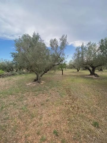 Tomt till salu i Els Reguers, Tortosa - 15 000 € (Ref: 10024489)