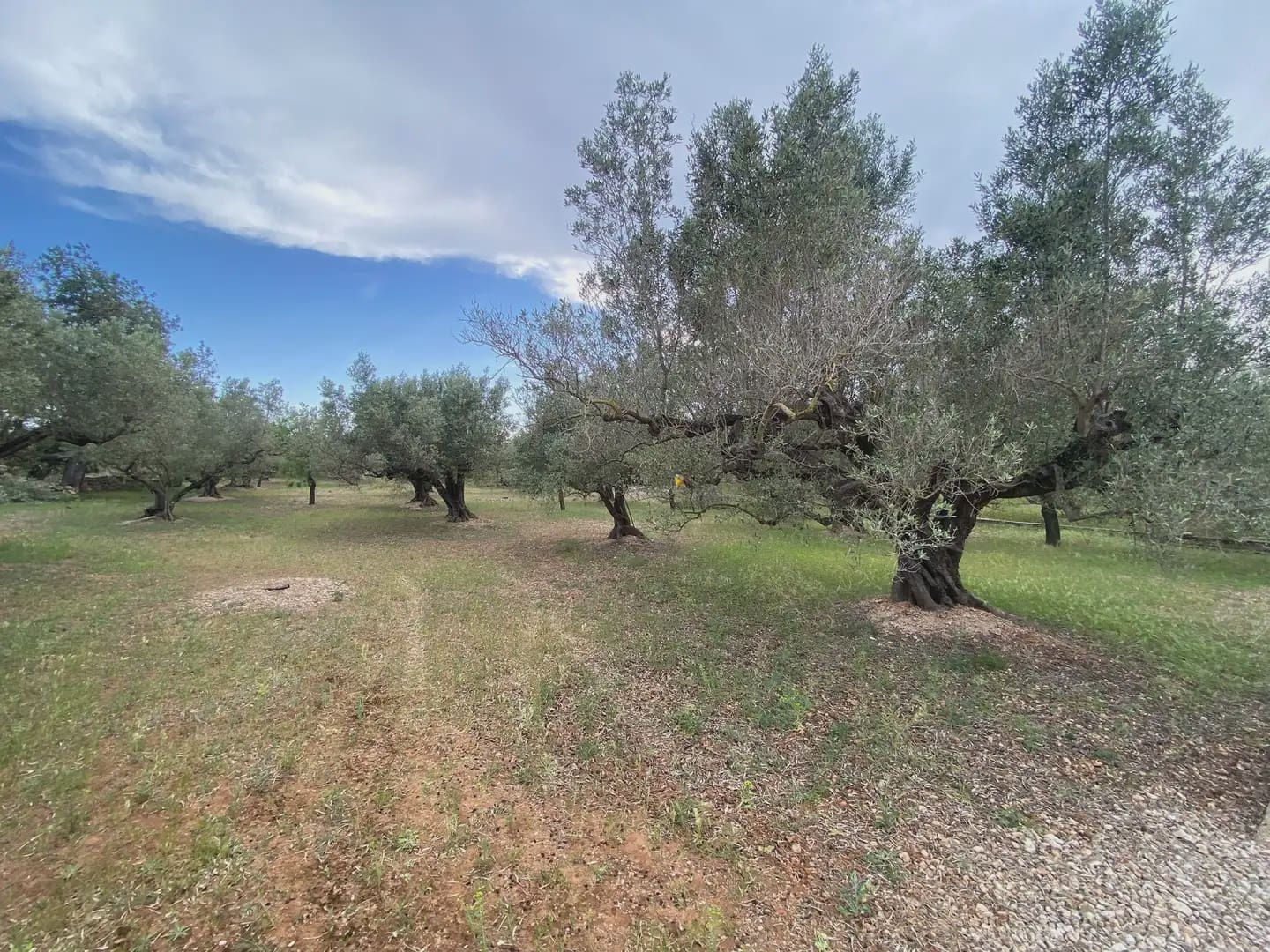 Tomt till salu i Tortosa - 15 000 € (Ref: 10024489)