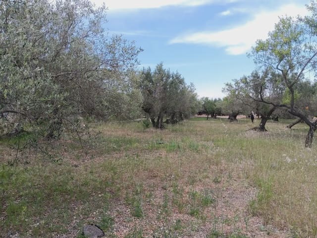 Tomt till salu i Els Reguers, Tortosa - 15 000 € (Ref: 10024489)