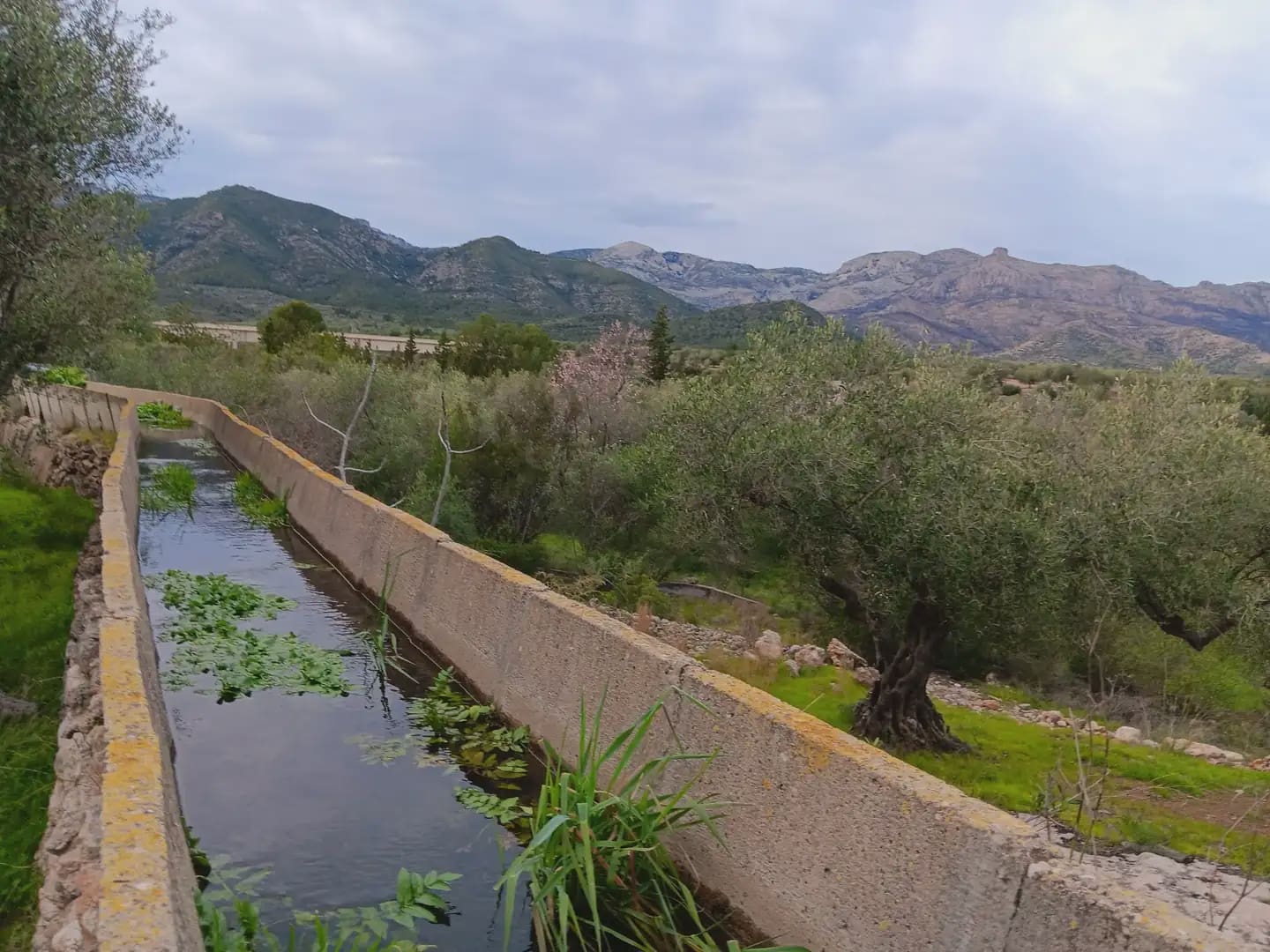 3 slaapkamer Finca/Landhuis te koop in Tortosa met garage - € 94.000 (Ref: 10024492)