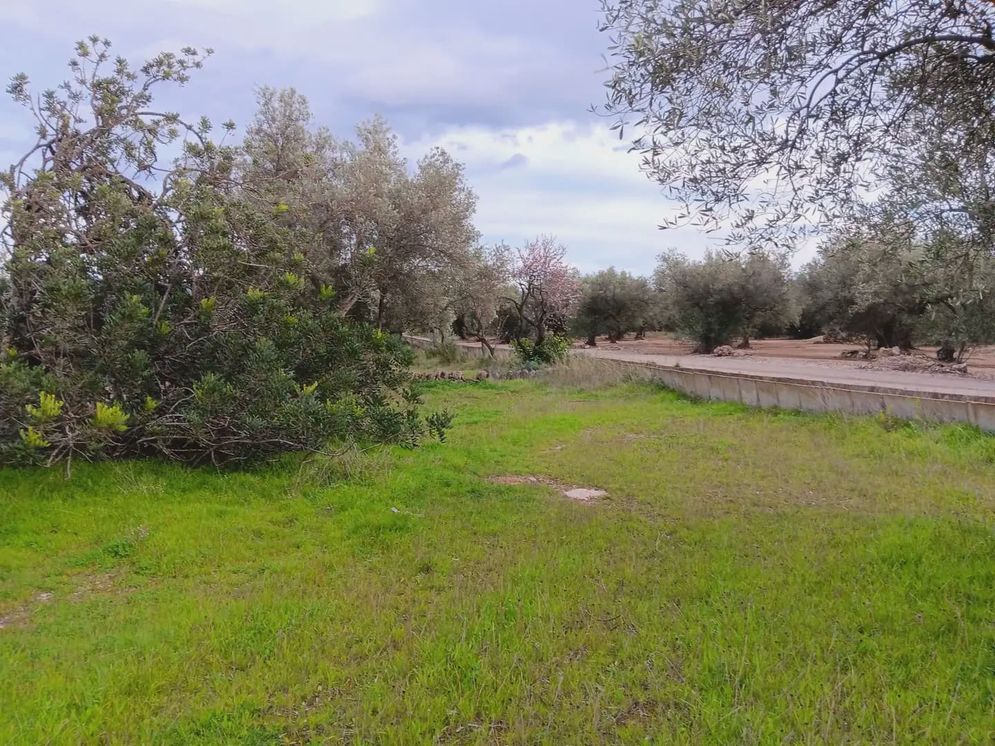 3 slaapkamer Finca/Landhuis te koop in Tortosa met garage - € 94.000 (Ref: 10024492)